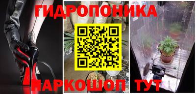 PSILOCYBIN Дубна