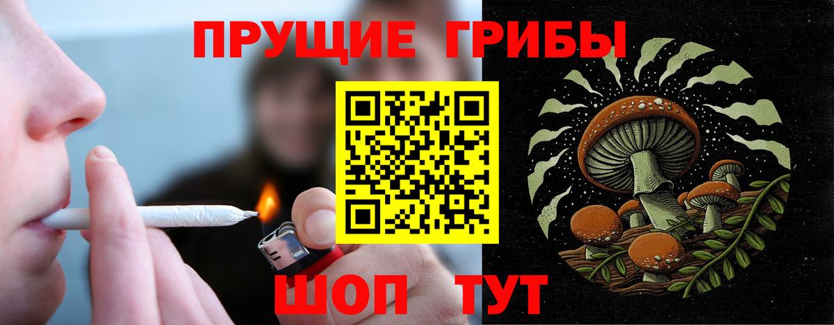 Можга  Галлюциногенные грибы мицелий  Вход с VPN 